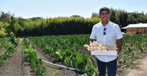 Deputado Roosevelt celebra sucesso da produção de gengibre na região do DF