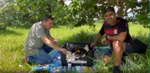 Ato de bondade: Deputado Roosevelt auxilia cadela em trabalho de parto durante corrida matinal