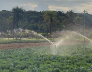 Deputado Roosevelt celebra inauguração de canal de irrigação no Núcleo Rural Lagoinha, no DF