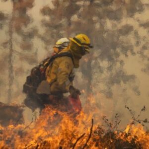 Fogo se espalha na Califórnia (EUA) e milhares de pessoas têm de deixar suas casas