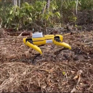 Pesquisadores japoneses criam robôs capazes de salvar vítimas de desastres naturais que atingem o país