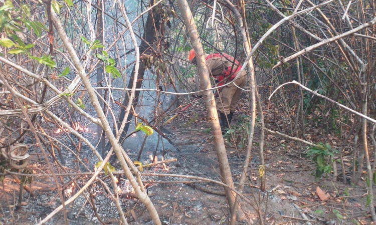 Polícia Civil de Goiás indicia quatro pessoas por incêndios na Chapada dos Veadeiros