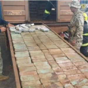 Polícia Militar de Goiás e PRF encontram 300kg de cocaína em caminhão boiadeiro