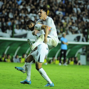 Goiás vira sobre o líder Botafogo e coloca Corinthians na zona de rebaixamento do Brasileirão 