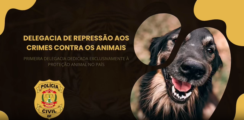 Primeira Delegacia de Proteção Animal do Brasil completa 4 meses de atuação