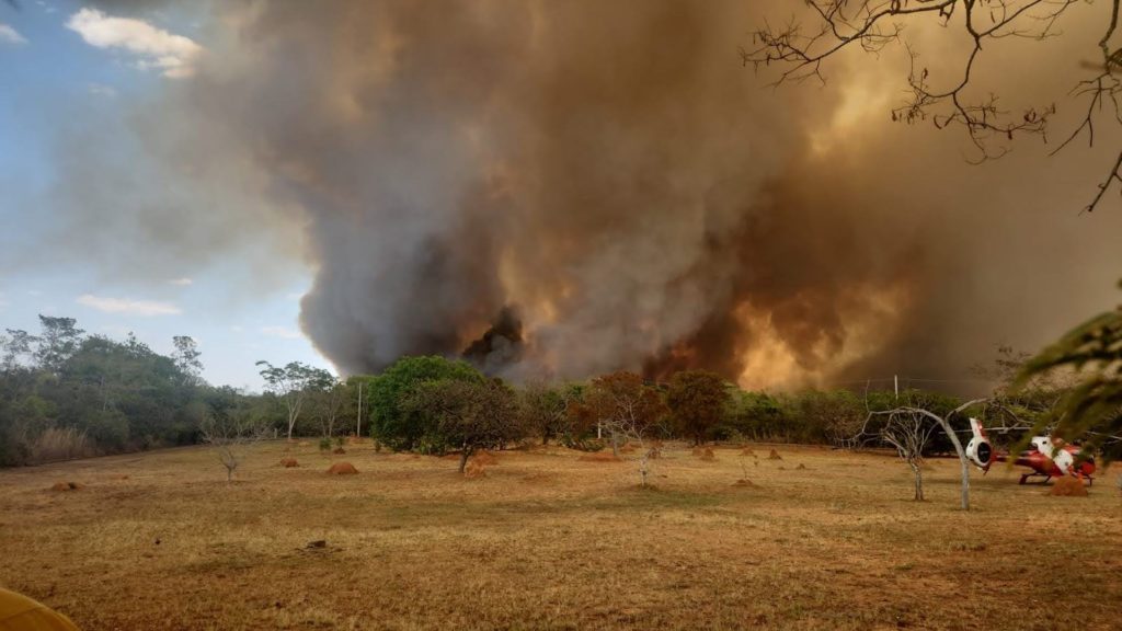 Polícia Civil identifica três suspeitos de incêndios criminosos no Parque Nacional de Brasília